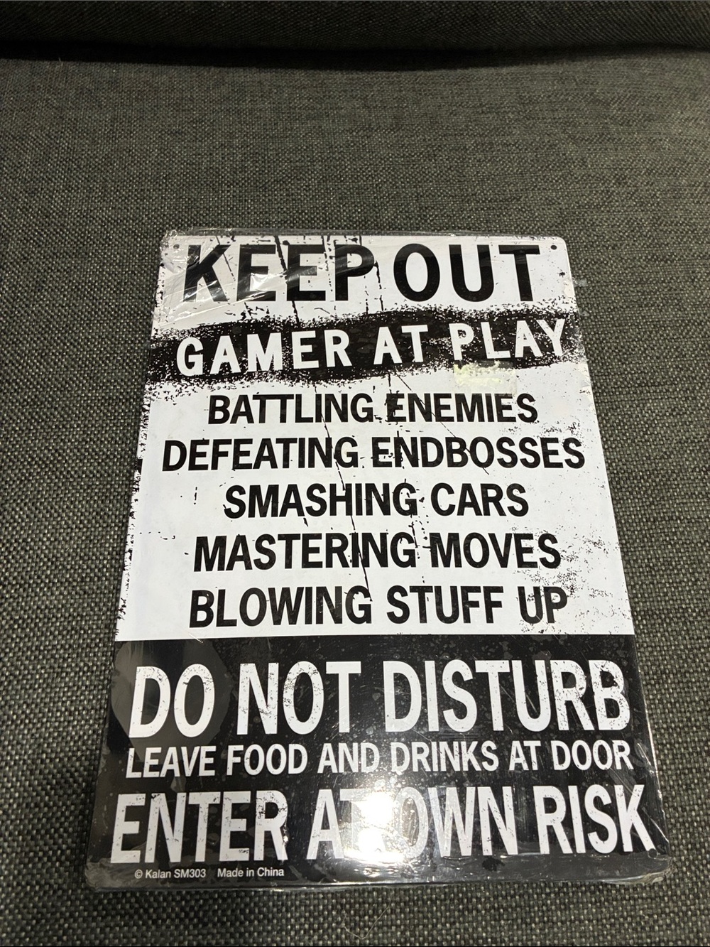 Keep Out Gamer At Play Sign Metal